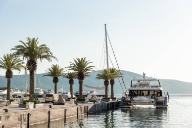 Tivat, Karadağ, 27 Nisan 2025, Porto Karadağ limanında yatlar park halinde