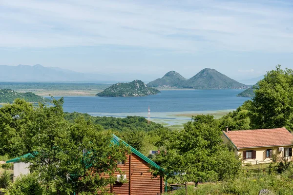 Karadağ 'daki Skadar Gölü, yazın güneşli havuz manzarası