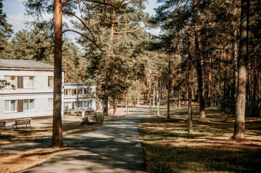 Sovyet öncü kampının eski tuğla binaları parkın çöl çam ormanları bölgesinde.