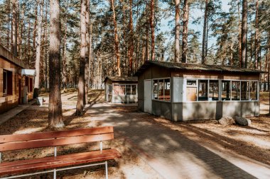 Sovyet öncü kampının eski tuğla binaları parkın çöl çam ormanları bölgesinde.