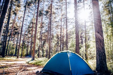 Turist çadırı otoparkı gezgini kamp ateşi yaz ormanlarında kamp yapıyor.