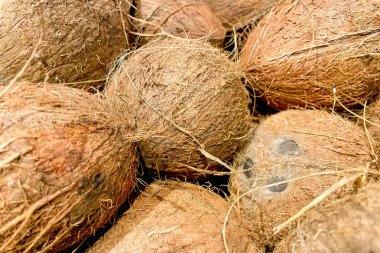 Markette hindistan cevizi sepeti, meyve ve sebzeler pazarda satılır.