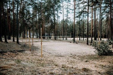 Pine Forest Park 'taki çocuklar için voleybol sahası, bulutlu yaz gününde panorama.