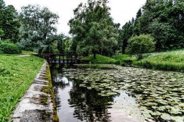 Pavlovsk Parkı manzarasının manzarası Ağaçlar, çimenler, çimenler ve patikalar Sonbahar bulutlu bir günde