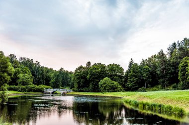 Pavlovsk Parkı manzarasının manzarası Ağaçlar, çimenler, çimenler ve patikalar Sonbahar bulutlu bir günde