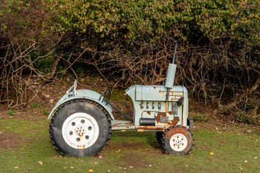 Tarla çiftliğine tahıl ekmek için eski paslı traktör tarım arazisinde duruyor.