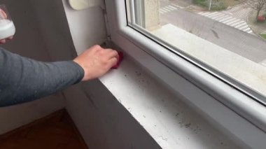 Profesyonel katliam, evin içindeki beyaz duvarı siyah küften temizliyor.