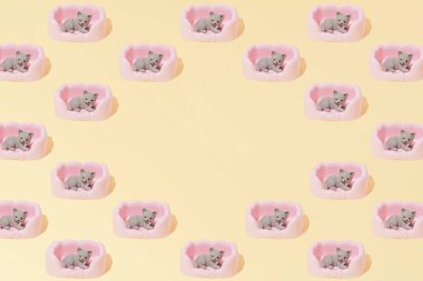 Kedi Evcil Hayvan Yatağı kanepesi gevşetin Sarı Arkaplan üzerine desen duvar kağıdı kopya alanı ile yaratıcı bir konsept yatıyordu