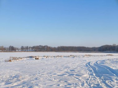 Geniş kış kırsal manzarası karla kaplı tarım arazisi ve temiz ufuk..