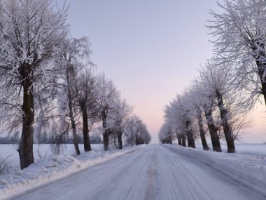 Kış yolu kırsalda donmuş ağaçlar arasında derinlik ve öncü çizgiler oluşturur..
