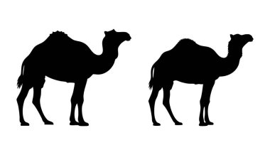 İki deve yan yana duruyor, karakteristik hörgüçleriyle siyah siluetler olarak tasvir edilmiş, çöl yolculuğunu sembolize ediyor..