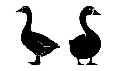 Çiftçilik ve doğa tasarımları için klasik dik ve rahat duruşlarını sergileyen iki belirgin siyah kaz silueti..