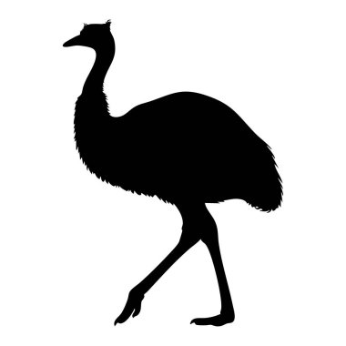 Bir devekuşu ya da devekuşunun tek bir siyah silueti profilde zarifçe yürüyor, temiz beyaz bir arka planda izole edilmiş..