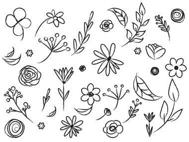 Basit çiçek karalamaları, el çizimi dallar, yapraklar.