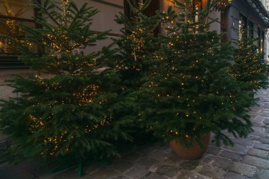 Noel ağaçları sokakta dizilmiş, her biri sıcak ışıklarla süslenmiş. Gece çöktüğünde ve şehir hayatı devam ederken sahne hayat dolu..