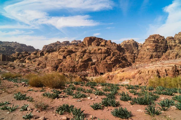 Ziyaretçiler Ürdün Vadisi 'nin kurak çöllerinde yürürler. Kuru arazide kayalık oluşumlar ve seyrek bitki örtüsü bulunur. Güneş ışığı eşsiz manzarayı aydınlatır ve yukarıdaki açık mavi gökyüzünü..