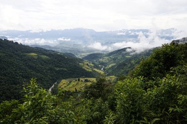 Kuzey Vietnam manzarasında bulutlu ve sisli bir dağ vadisinde yemyeşil pirinç tarlalarının manzarası..