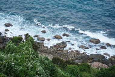 Dalgalar yemyeşil bitki örtüsü ve beyaz çiçeklerle kayalık bir kıyı şeridine çarpar..