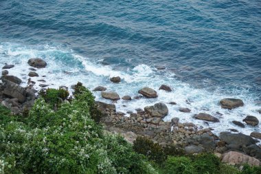 Dalgalar yemyeşil bitki örtüsü ve beyaz çiçeklerle kayalık bir kıyıya çarpar..