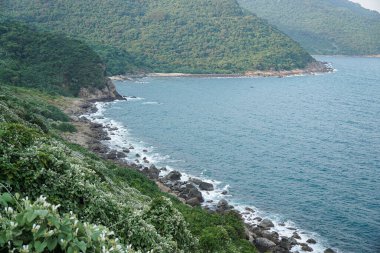 Bereketli yeşil tepeler, kayalık bir kıyı şeridi boyunca turkuaz denizle buluşuyor, beyaz çiçekler açıyor..