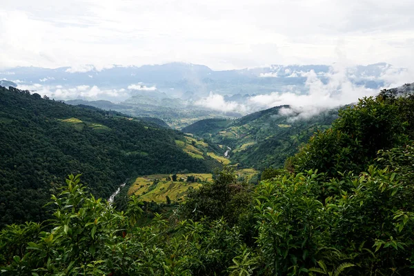 Kuzey Vietnam manzarasında bulutlu ve sisli bir dağ vadisinde yemyeşil pirinç tarlalarının manzarası..