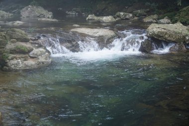 Kayaların üzerinden akan berrak turkuaz suyla sakin dağ deresi, arka planda yemyeşil yemyeşil.