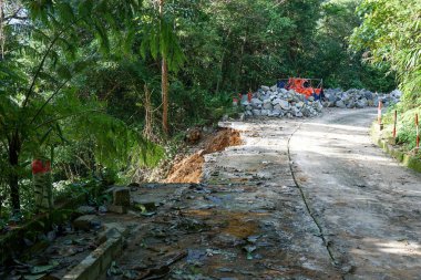 Yeşillik bir ormanda toprak kayması, yolu kapatıyor ve enkazlara neden oluyor..