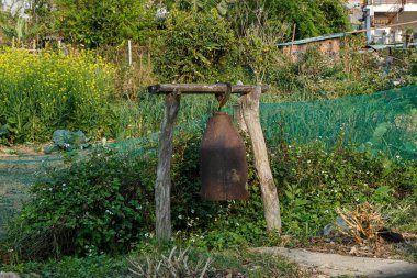 Sarı çiçekleri ve yeşil yaprakları olan yemyeşil bir bahçede sallanan kırsal çan..
