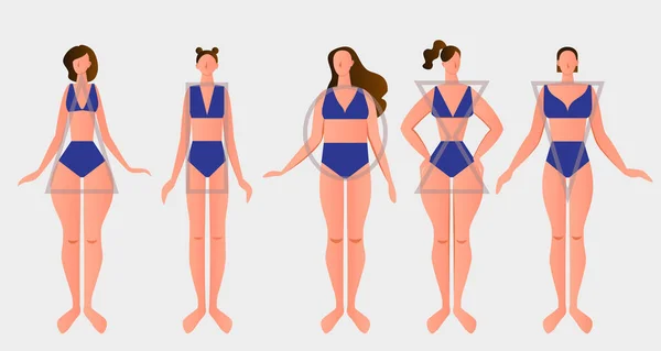 Tipos Figuras Femininas Corpo Mulher — Vetor de Stock