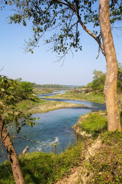 Ağaçlar tarafından çerçevelenmiş yeşil doğal manzara boyunca akan sakin kıvrımlı nehir, berrak su ve gür bitki örtüsü ile huzurlu kırsal manzara, seyahat, çevre ve rahatlama kavramları için uygun sakin doğa arka plan.