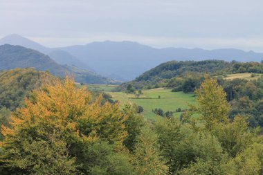 Zeleni pasnjak u daljini ceka svoje stado