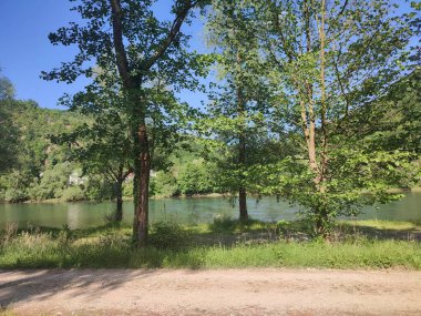 Hayır obali veke reke obavijene drvecem i visokom travom