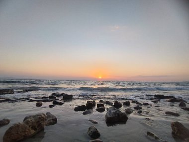 stari bicikl i saksija cveca