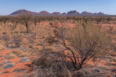 Avustralya ya da resmî adıyla Avustralya Cumhuriyeti, Avustralya 'nın Tazmanya adası ve daha küçük adalarından oluşan bağımsız bir ülkedir. Okyanusya' nın en büyük ve dünyanın altıncı büyük c ülkesidir.