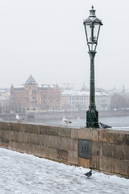 Charles Köprüsü, Çek Cumhuriyeti 'nin Prag kentinde Vltava Nehri' ni geçen tarihi bir köprüdür. Yapımı 1357 yılında Kral IV. Charles nezaretinde başladı ve 15. yüzyılın başında sona erdi. Köprü eski Judith 'in yerini aldı