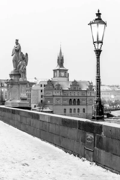 Pont Charles Est Pont Historique Qui Traverse Rivière Vltava Prague — Photo