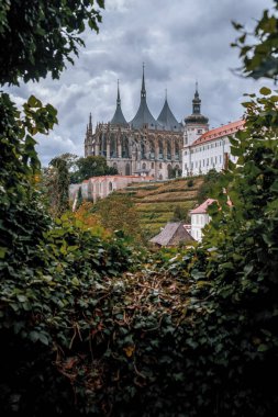 Aziz Barbara Kilisesi, Kutn Hora 'da bir katedral tarzında bir Roma Katolik kilisesidir ve bazen St. Barbara Katedrali olarak da anılır.. 