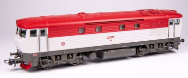 Model demiryolu, gerçek bir demiryolunun ve çevresinin ölçekli bir modelde temsil edilmesidir. Başlangıçta, modeller sadece evde üretildi, fakat çok geçmeden modellerin üretimi birçok şirketin üretim programının bir parçası haline geldi..