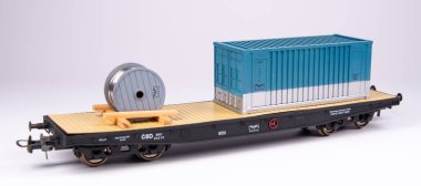 Model demiryolu, gerçek bir demiryolunun ve çevresinin ölçekli bir modelde temsil edilmesidir. Başlangıçta, modeller sadece evde üretildi, fakat çok geçmeden modellerin üretimi birçok şirketin üretim programının bir parçası haline geldi..