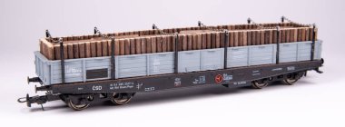 Model demiryolu, gerçek bir demiryolunun ve çevresinin ölçekli bir modelde temsil edilmesidir. Başlangıçta, modeller sadece evde üretildi, fakat çok geçmeden modellerin üretimi birçok şirketin üretim programının bir parçası haline geldi..