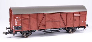 Model demiryolu, gerçek bir demiryolunun ve çevresinin ölçekli bir modelde temsil edilmesidir. Başlangıçta, modeller sadece evde üretildi, fakat çok geçmeden modellerin üretimi birçok şirketin üretim programının bir parçası haline geldi..