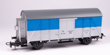 Model demiryolu, gerçek bir demiryolunun ve çevresinin ölçekli bir modelde temsil edilmesidir. Başlangıçta, modeller sadece evde üretildi, fakat çok geçmeden modellerin üretimi birçok şirketin üretim programının bir parçası haline geldi..