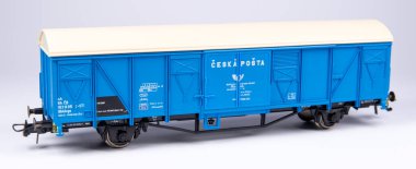 Model demiryolu, gerçek bir demiryolunun ve çevresinin ölçekli bir modelde temsil edilmesidir. Başlangıçta, modeller sadece evde üretildi, fakat çok geçmeden modellerin üretimi birçok şirketin üretim programının bir parçası haline geldi..