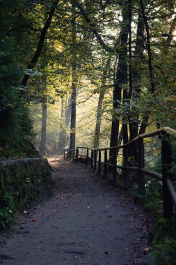 Kamnitz Boğazı, Çek Cumhuriyeti 'nde Hensko (Herrnskretschen), Mezn ve Srbsk Kamenice arasında kayalık bir geçittir.. 