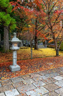 Japonya 'nın en büyük mezarlığı olarak kabul edilir ve 200 binden fazla mezar ve anıt vardır. Kutsal Dağ 'da yer almaktadır. Koya ve uzun kozalaklı bir ormana daldı..