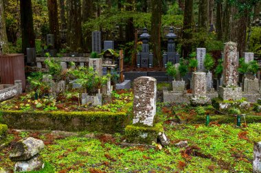 Japonya 'nın en büyük mezarlığı olarak kabul edilir ve 200 binden fazla mezar ve anıt vardır. Kutsal Dağ 'da yer almaktadır. Koya ve uzun kozalaklı bir ormana daldı..