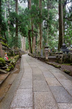 Japonya 'nın en büyük mezarlığı olarak kabul edilir ve 200 binden fazla mezar ve anıt vardır. Kutsal Dağ 'da yer almaktadır. Koya ve uzun kozalaklı bir ormana daldı..