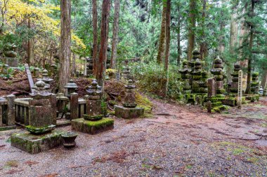 Japonya 'nın en büyük mezarlığı olarak kabul edilir ve 200 binden fazla mezar ve anıt vardır. Kutsal Dağ 'da yer almaktadır. Koya ve uzun kozalaklı bir ormana daldı..