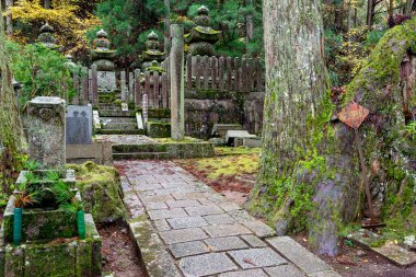 Japonya 'nın en büyük mezarlığı olarak kabul edilir ve 200 binden fazla mezar ve anıt vardır. Kutsal Dağ 'da yer almaktadır. Koya ve uzun kozalaklı bir ormana daldı..