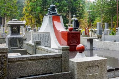 Japonya 'nın en büyük mezarlığı olarak kabul edilir ve 200 binden fazla mezar ve anıt vardır. Kutsal Dağ 'da yer almaktadır. Koya ve uzun kozalaklı bir ormana daldı..